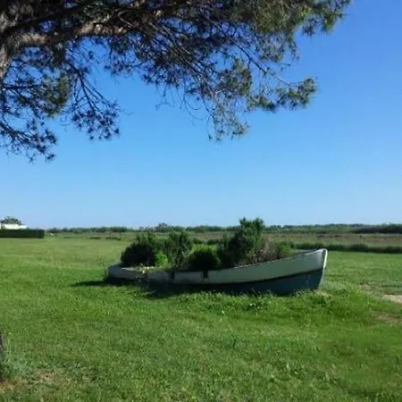Campsite Dc - Le Savina, 2 Ch, 2 Sdb, Confort Et Detente, Proche Montpellier Et Palavas Lattes
