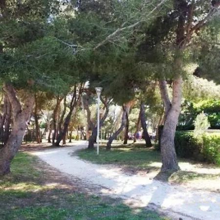 Campsite Dc - Le Savina, 2 Ch, 2 Sdb, Confort Et Detente, Proche Montpellier Et Palavas